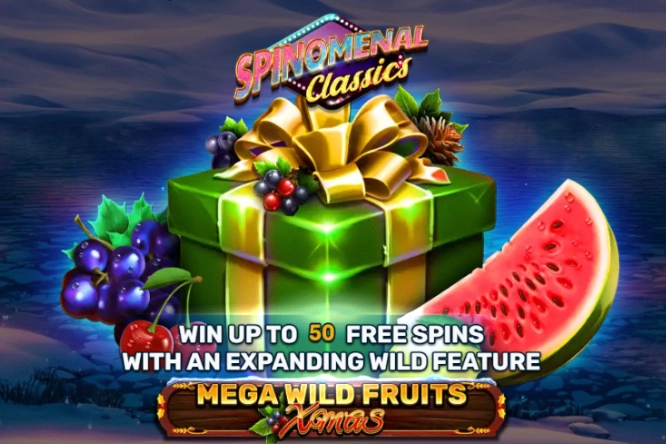 Mega Wild Fruits Xmas